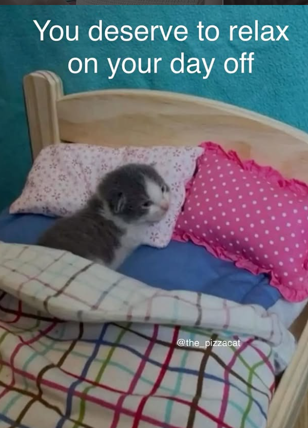 You deserve to relax on your day off @the_pizzacat