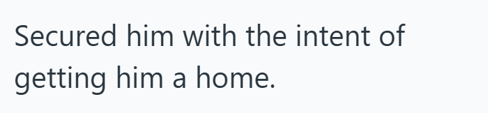 Secured him with the intent of getting him a home.
