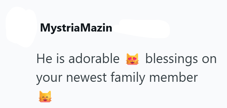 Mystria Mazin He is adorable blessings on your newest family member