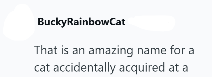 BuckyRainbowCat That is an amazing name for a cat accidentally acquired at a