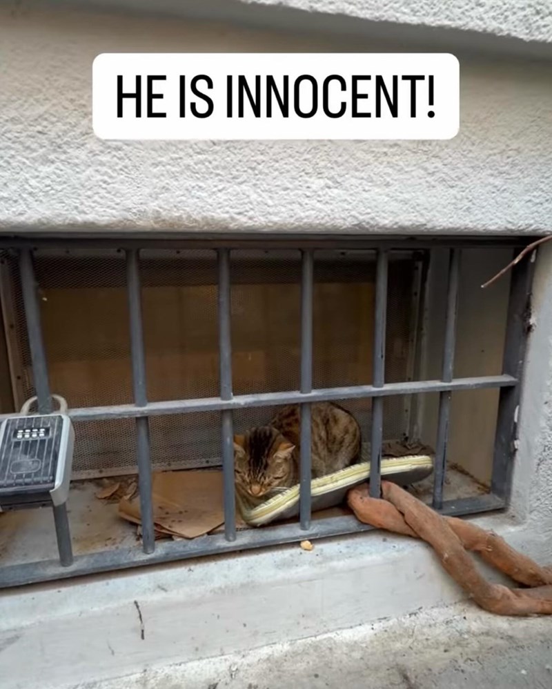 HE IS INNOCENT!