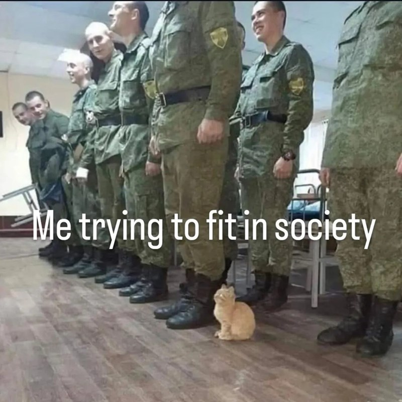 Me trying to fit in society