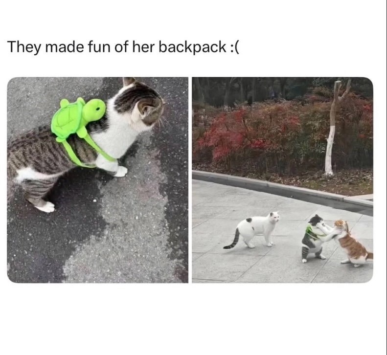 They made fun of her backpack :(