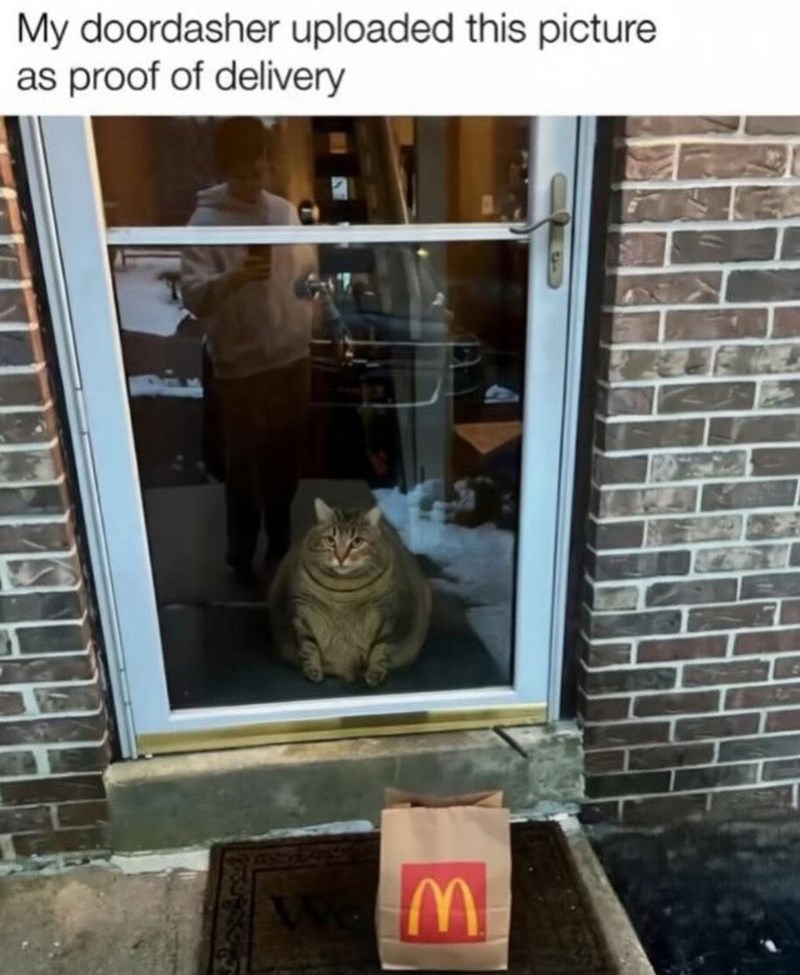 My doordasher uploaded this picture as proof of delivery Wem