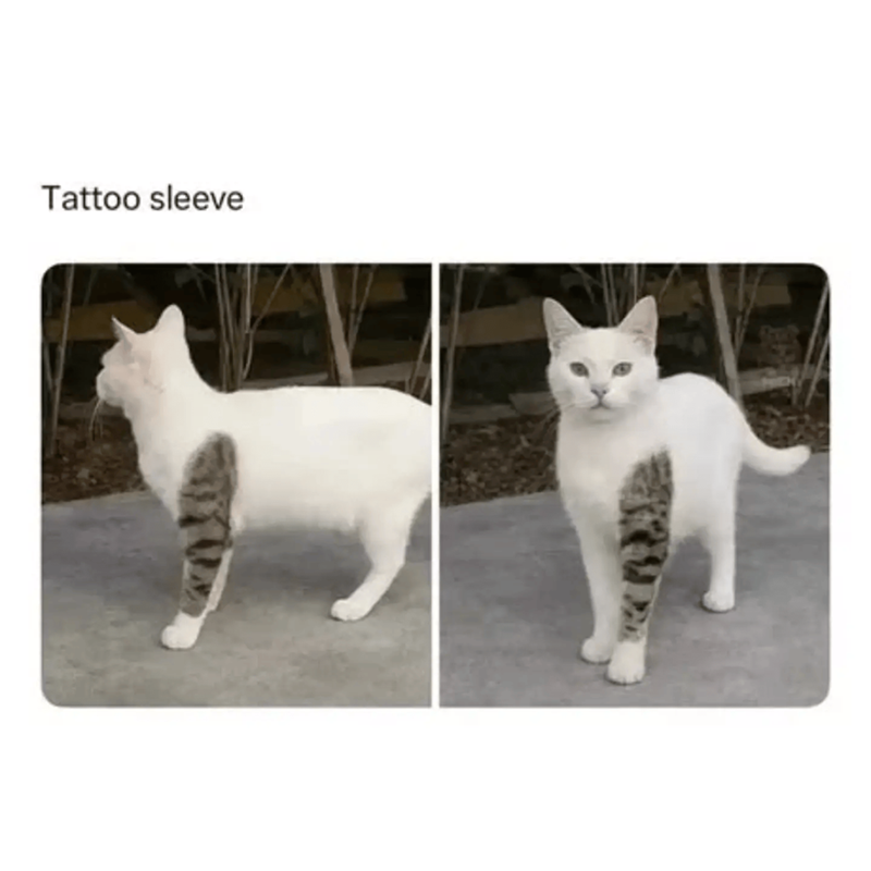 Tattoo sleeve