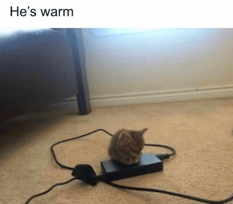 He's warm