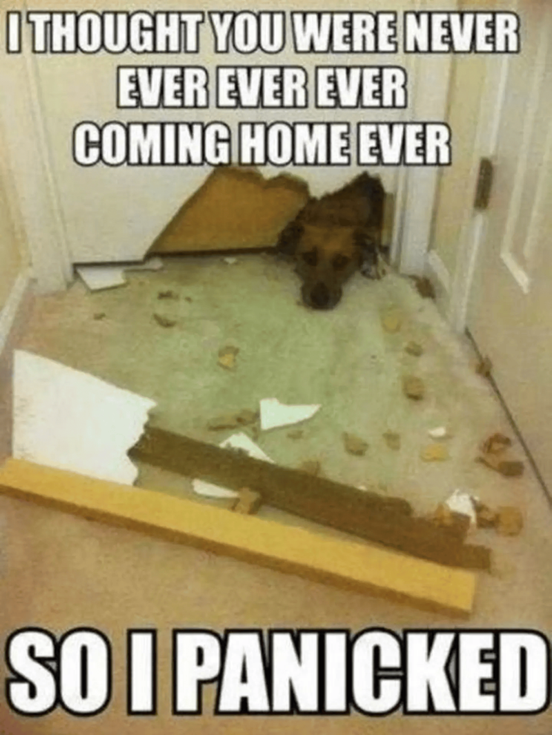 I THOUGHT YOU WERE NEVER EVER EVER EVER COMING HOME EVER SO I PANICKED