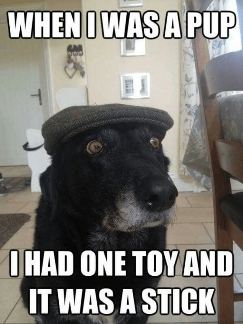 WHEN I WAS A PUP ㅓ I HAD ONE TOY AND IT WAS A STICK