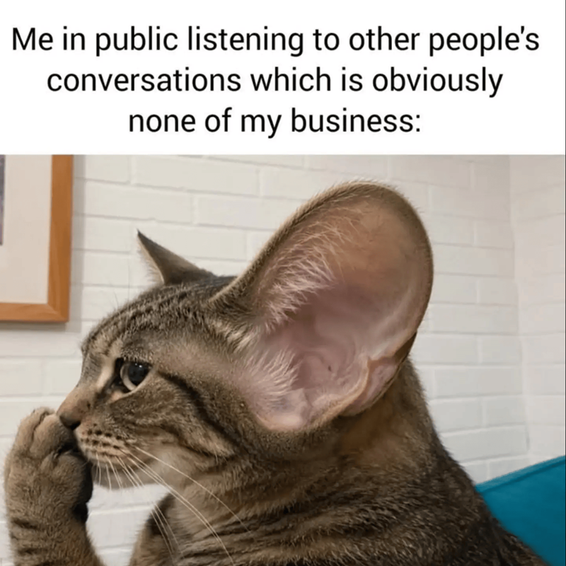 Me in public listening to other people's conversations which is obviously none of my business: