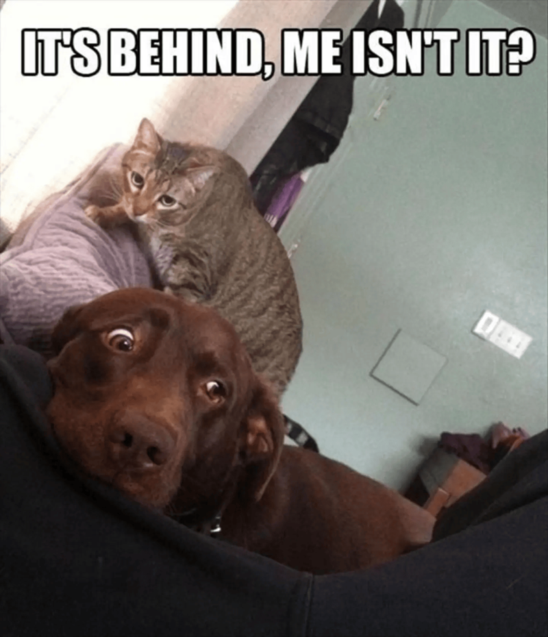 IT'S BEHIND, ME ISN'T IT?