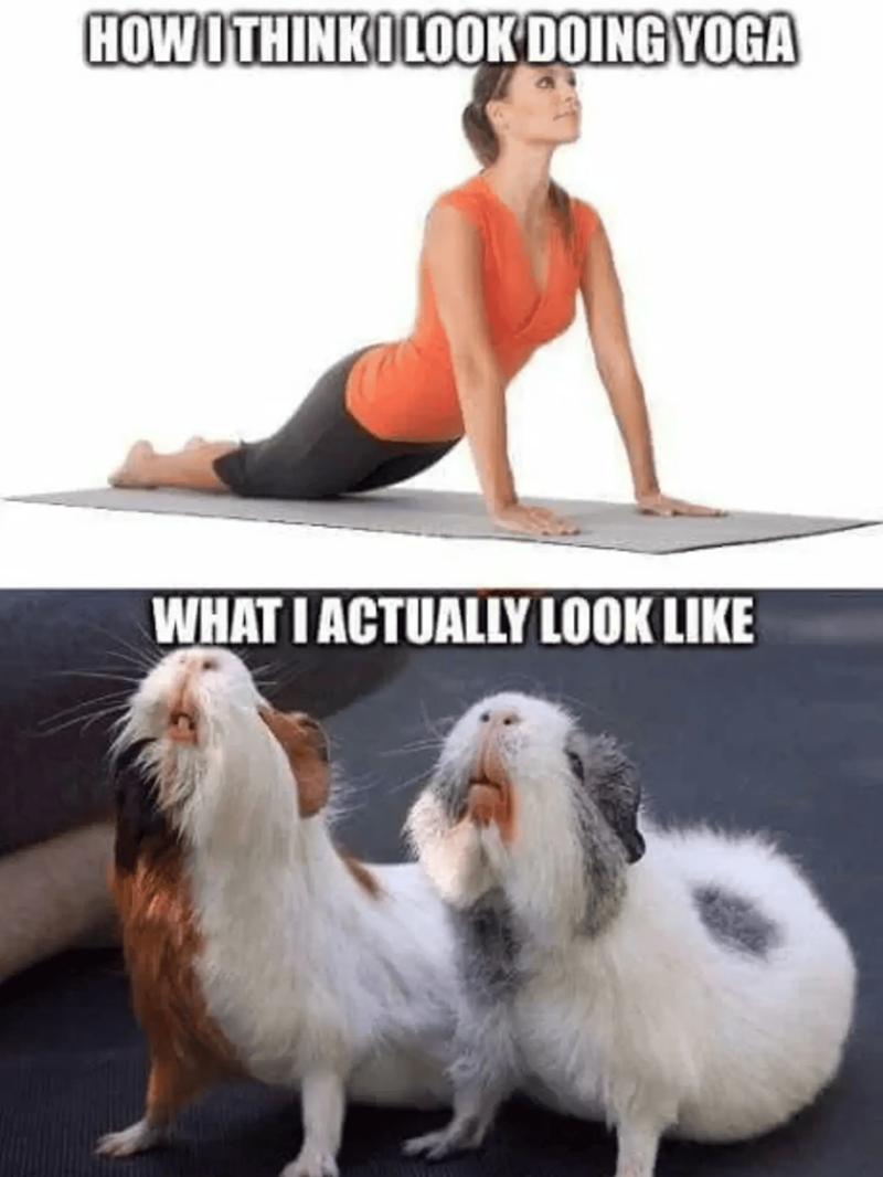HOW I THINK I LOOK DOING YOGA WHAT I ACTUALLY LOOK LIKE