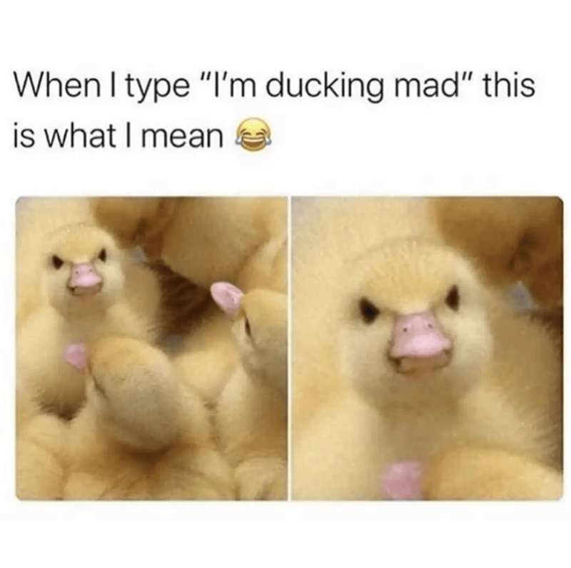 When I type "I'm ducking mad" this is what I mean