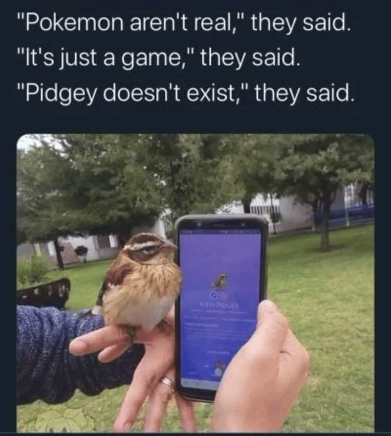 "Pokemon aren't real," they said. "It's just a game," they said. "Pidgey doesn't exist," they said. 90 POGLY