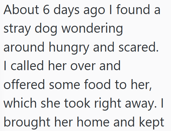 About 6 days ago I found a stray dog wondering around hungry and scared. I called her over and offered some food to her, which she took right away. I brought her home and kept
