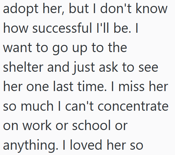 adopt her, but I don't know how successful I'll be. I want to go up to the shelter and just ask to see her one last time. I miss her so much I can't concentrate on work or school or anything. I loved her so