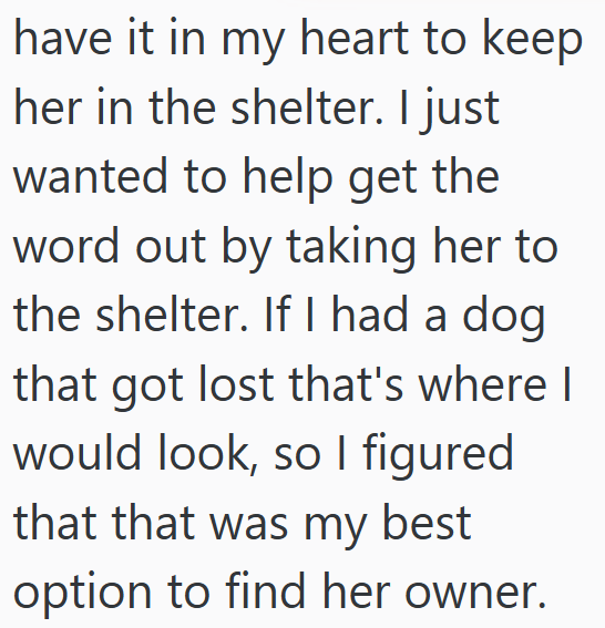 have it in my heart to keep her in the shelter. I just wanted to help get the word out by taking her to the shelter. If I had a dog that got lost that's where I would look, so I figured that that was my best option to find her owner.