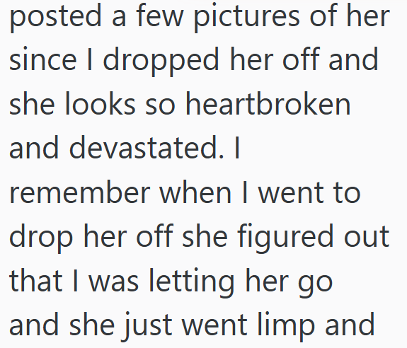 posted a few pictures of her since I dropped her off and she looks so heartbroken and devastated. I remember when I went to drop her off she figured out that I was letting her go and she just went limp and