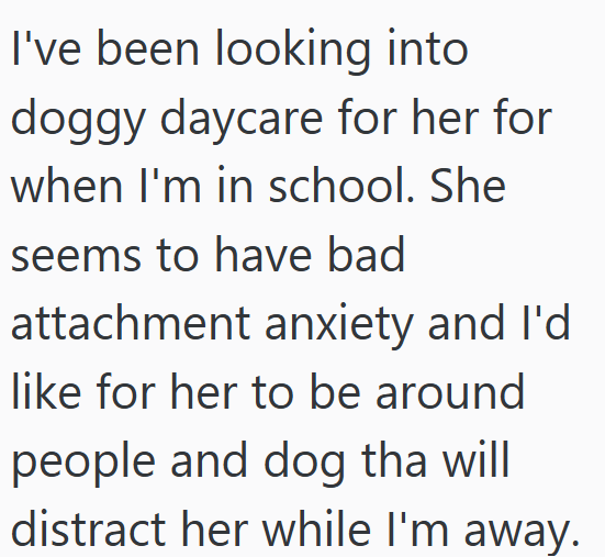 I've been looking into doggy daycare for her for when I'm in school. She seems to have bad attachment anxiety and I'd like for her to be around people and dog tha will distract her while I'm away.