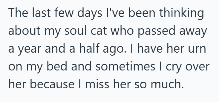 The last few days I've been thinking about my soul cat who passed away a year and a half ago. I have her urn on my bed and sometimes I cry over her because I miss her so much.