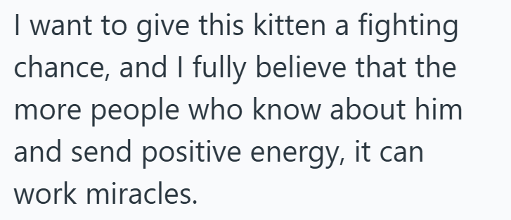 I want to give this kitten a fighting chance, and I fully believe that the more people who know about him and send positive energy, it can. work miracles.