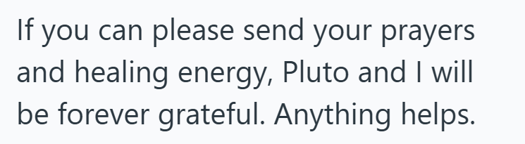 If you can please send your prayers and healing energy, Pluto and I will be forever grateful. Anything helps.