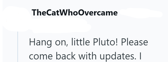 TheCatWhoOvercame Hang on, little Pluto! Please come back with updates. I