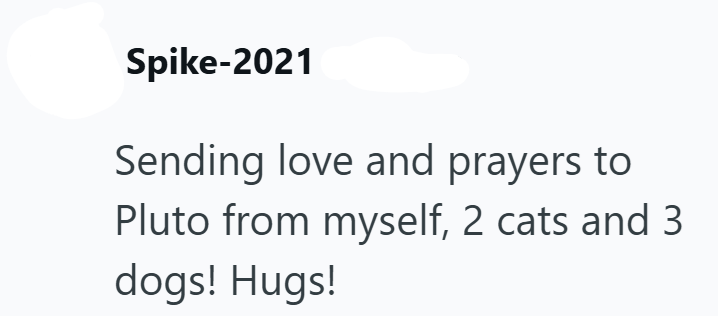 Spike-2021 Sending love and prayers to Pluto from myself, 2 cats and 3 dogs! Hugs!