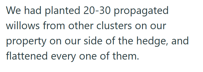 We had planted 20-30 propagated willows from other clusters on our property on our side of the hedge, and flattened every one of them.