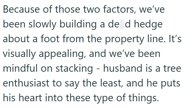 Because of those two factors, we've been slowly building a de d hedge about a foot from the property line. It's visually appealing, and we've been mindful on stacking - husband is a tree enthusiast to say the least, and he puts his heart into these type of things.