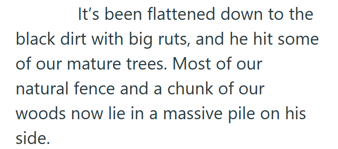 It's been flattened down to the black dirt with big ruts, and he hit some of our mature trees. Most of our natural fence and a chunk of our woods now lie in a massive pile on his side.
