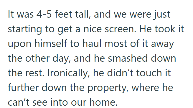 It was 4-5 feet tall, and we were just starting to get a nice screen. He took it upon himself to haul most of it away the other day, and he smashed down the rest. Ironically, he didn't touch it further down the property, where he can't see into our home.