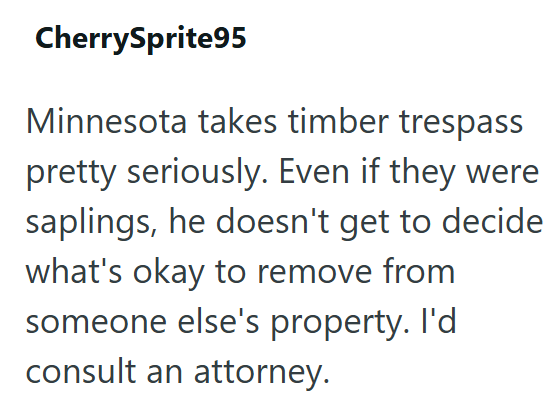 CherrySprite95 Minnesota takes timber trespass pretty seriously. Even if they were saplings, he doesn't get to decide what's okay to remove from someone else's property. I'd consult an attorney.