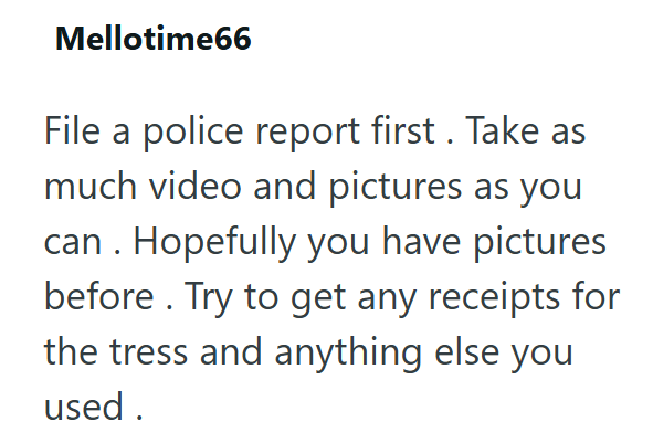 Mellotime66 File a police report first. Take as much video and pictures as you can. Hopefully you have pictures before. Try to get any receipts for the tress and anything else you used.