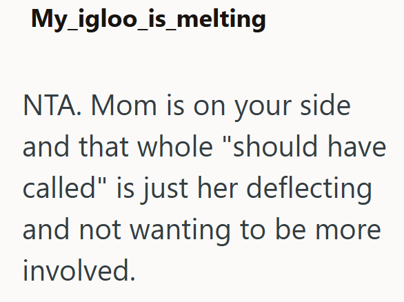 My_igloo_is_melting NTA. Mom is on your side. and that whole "should have called" is just her deflecting and not wanting to be more involved.