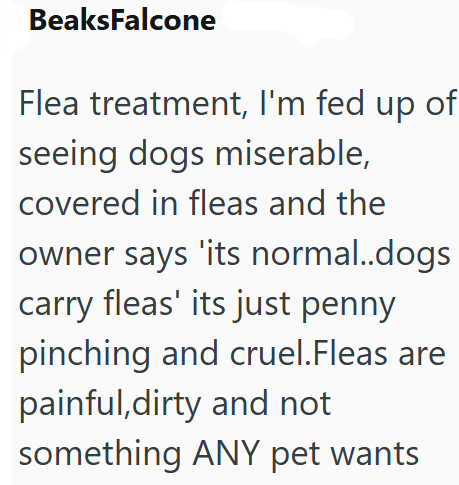 BeaksFalcone Flea treatment, I'm fed up of seeing dogs miserable, covered in fleas and the owner says 'its normal..dogs carry fleas' its just penny pinching and cruel.Fleas are painful, dirty and not something ANY pet wants