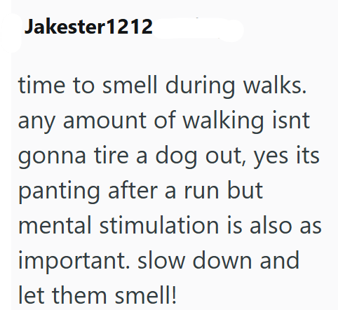 Jakester1212 time to smell during walks. any amount of walking isnt gonna tire a dog out, yes its panting after a run but mental stimulation is also as important. slow down and let them smell!