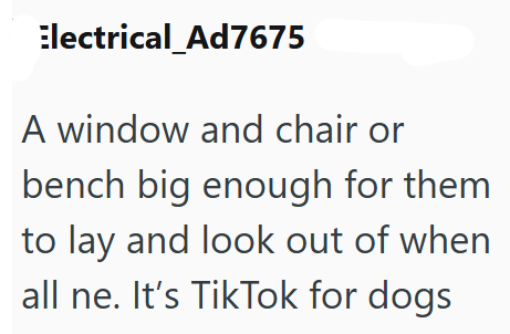 Electrical_Ad7675 A window and chair or bench big enough for them to lay and look out of when all ne. It's TikTok for dogs