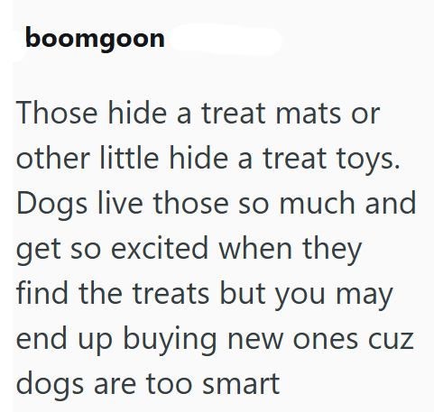 boomgoon Those hide a treat mats or other little hide a treat toys. Dogs live those so much and get so excited when they find the treats but you may end up buying new ones cuz dogs are too smart