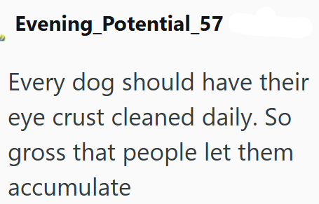 Evening Potential_57 Every dog should have their eye crust cleaned daily. So gross that people let them accumulate