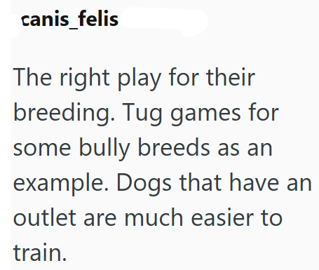 canis_felis The right play for their breeding. Tug games for some bully breeds as an example. Dogs that have an outlet are much easier to train.