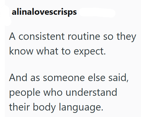 alinalovescrisps A consistent routine so they know what to expect. And as someone else said, people who understand their body language.