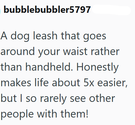 bubblebubbler5797 A dog leash that goes around your waist rather than handheld. Honestly makes life about 5x easier, but I so rarely see other people with them!
