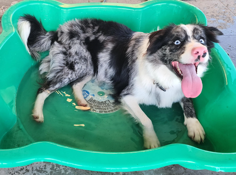 WARMING SUPERVISION AT A POOL-KEEP THEM WITHIN ARINS
