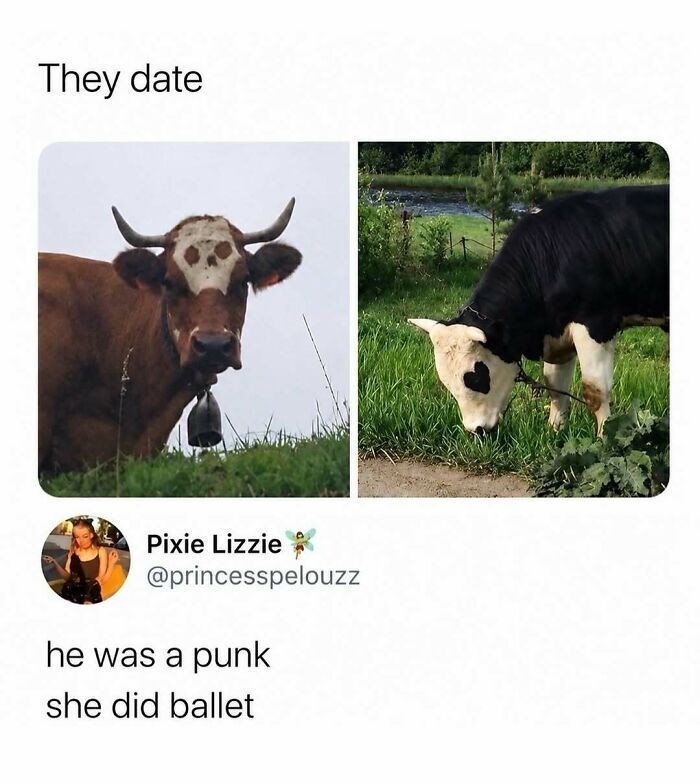 They date Pixie Lizzie @princesspelouzz he was a punk she did ballet