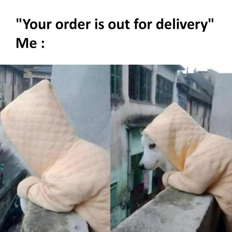 "Your order is out for delivery" Me: