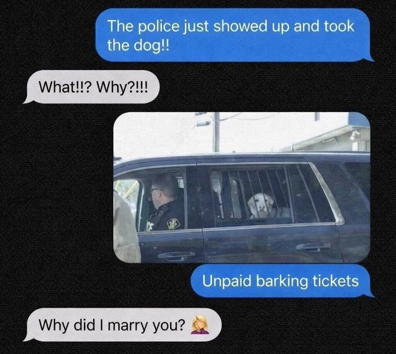 The police just showed up and took the dog!! What!!? Why?!!! Why did I marry you? Unpaid barking tickets