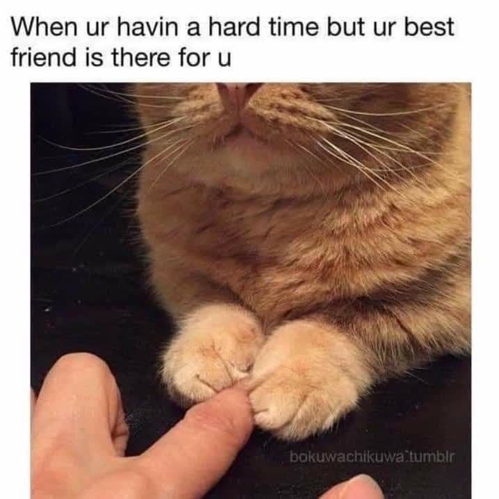 When ur havin a hard time but ur best friend is there for u bokuwachikuwa tumblr