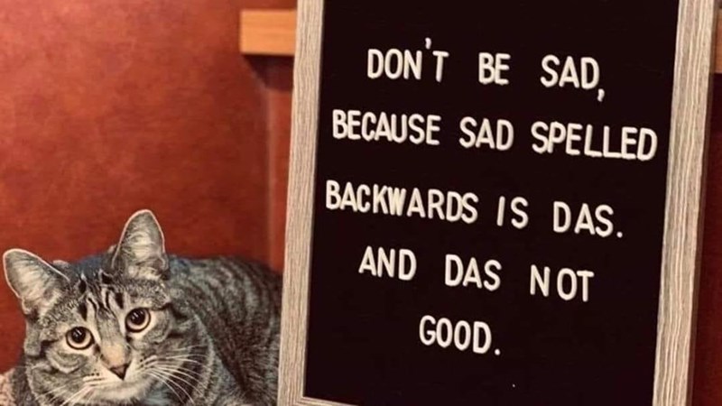 DON'T BE SAD, BECAUSE SAD SPELLED BACKWARDS IS DAS. AND DAS NOT GOOD.