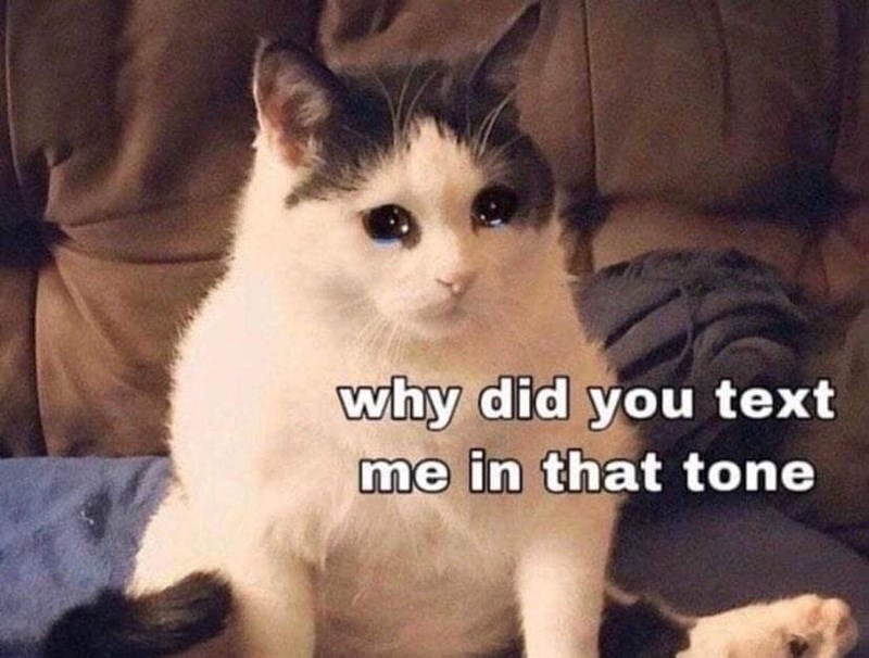why did you text me in that tone