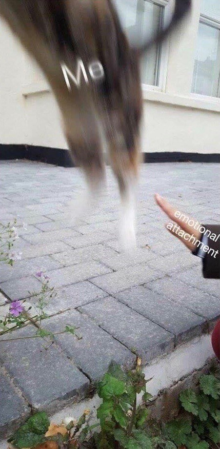 Me emotional attachment